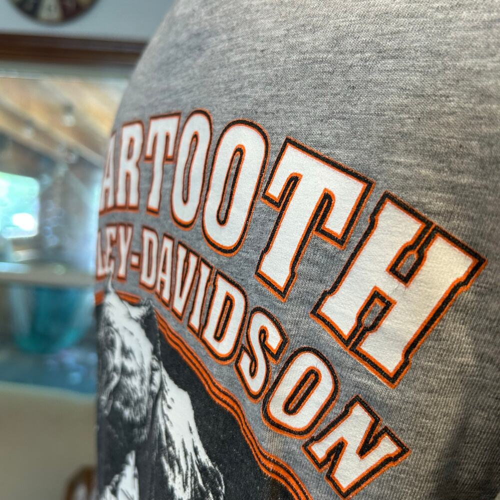 Harley-Davidson Y2K Beartooth Montana Flame Long Sleeve Tee Cowboy Core S - Picture 16 of 16